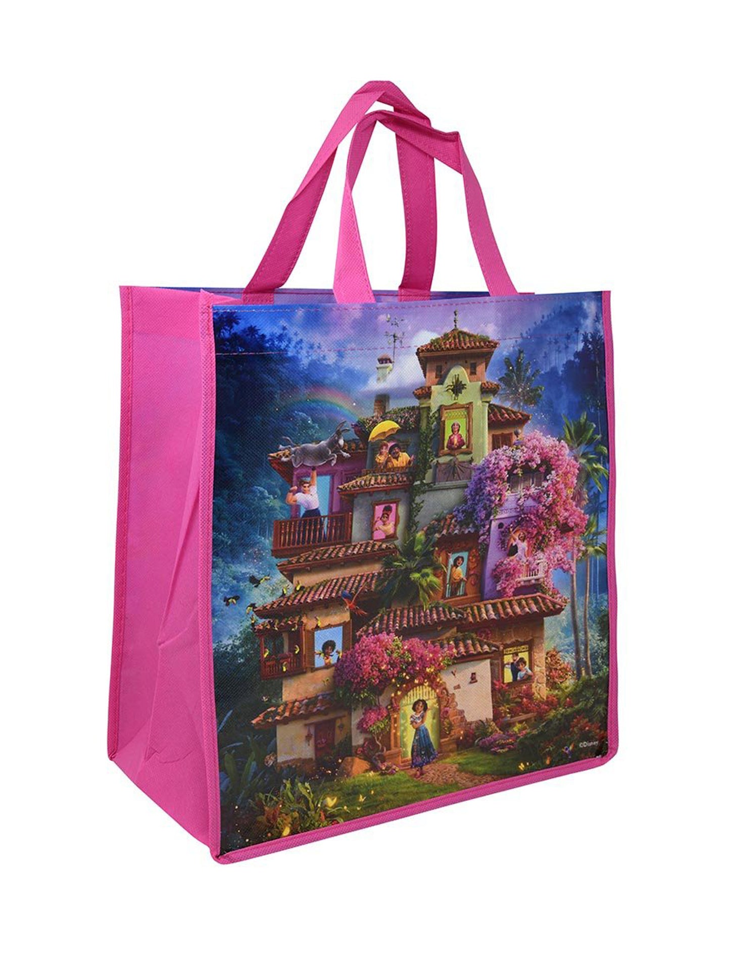 Disney Encanto Tote Bag w/ Girls Hair Brush Elastic Ponies Ties Scrunchies Set
