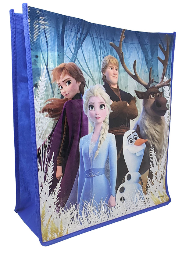 Disney Frozen Elsa Anna 9 PC Hair Sticker Play Gift Pack