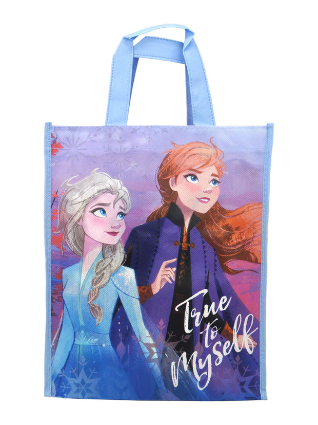 Disney 14PC Frozen Elsa Anna Bandana Hair Ties Brush Bracelet Stickers w/ Tote Bag