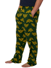 Men's Legend of Zelda Pajama Pants Lounge Wear Hyrule Triforce Green