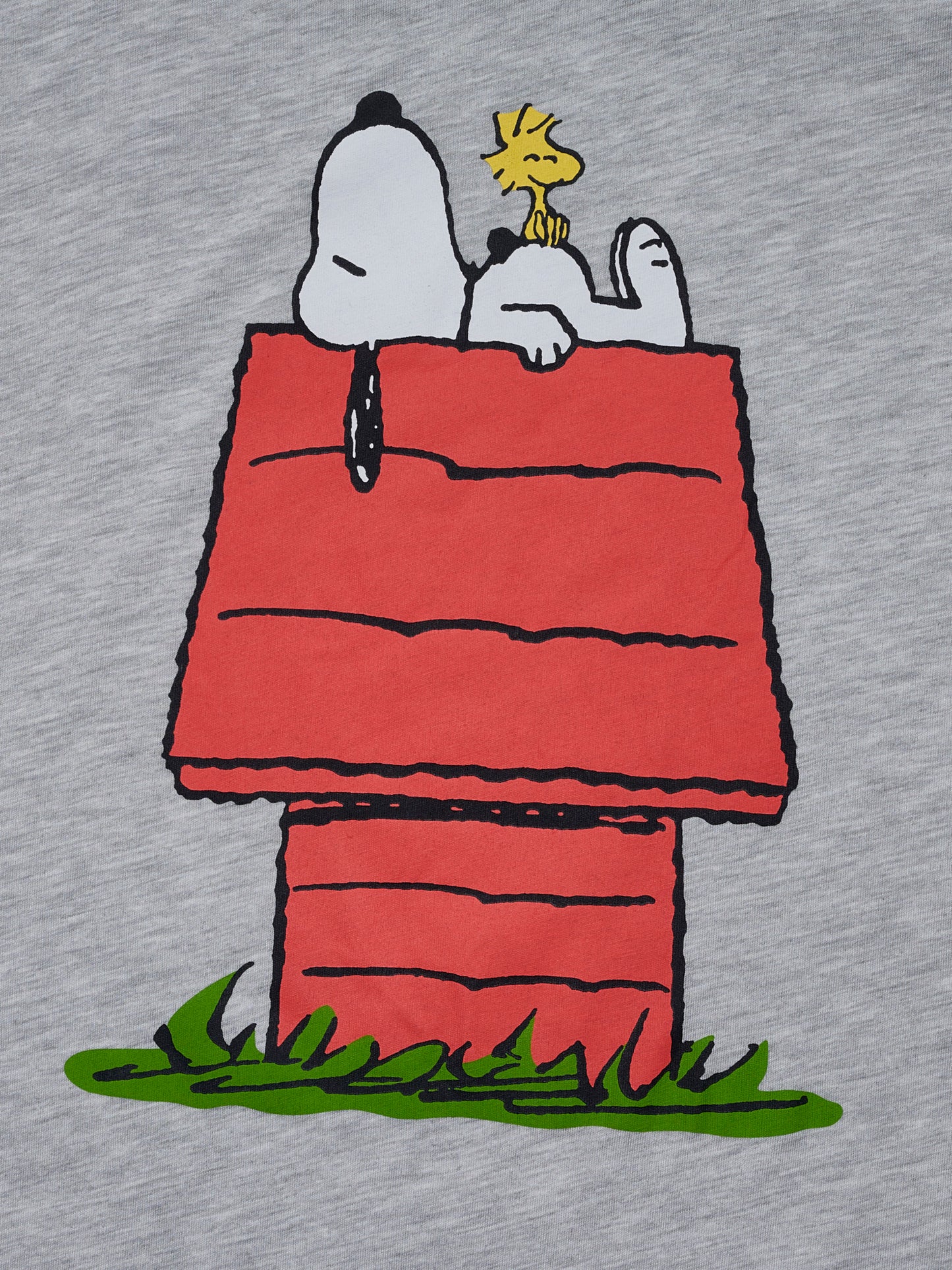Womens & Womens Plus Size Peanuts Snoopy & Woodstock Sleep Shirt Pajamas Gray